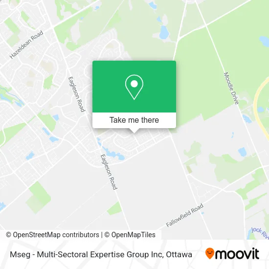 Mseg - Multi-Sectoral Expertise Group Inc plan