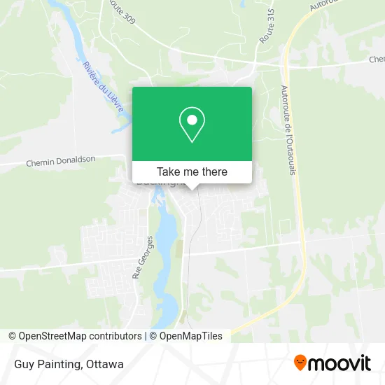 Guy Painting map