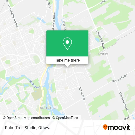 Palm Tree Studio map