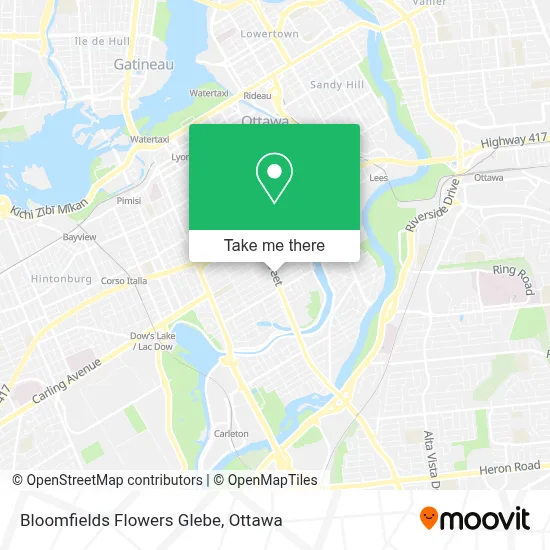 Bloomfields Flowers Glebe map