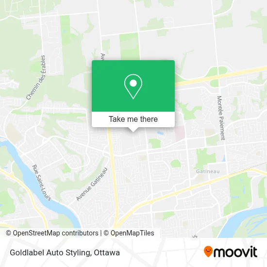 Goldlabel Auto Styling map