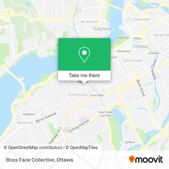Boss Face Collective map