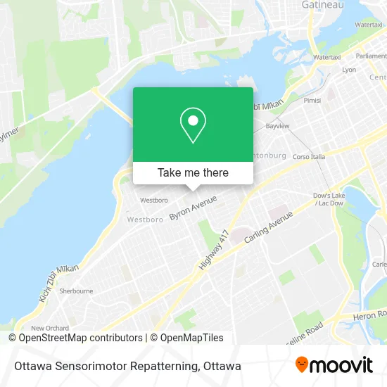 Ottawa Sensorimotor Repatterning map