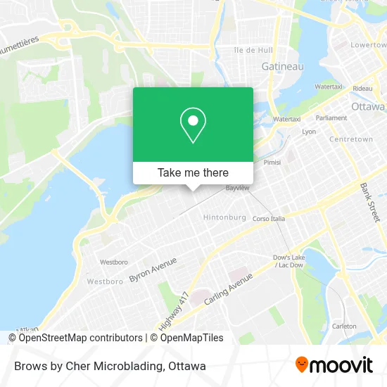 Brows by Cher Microblading map