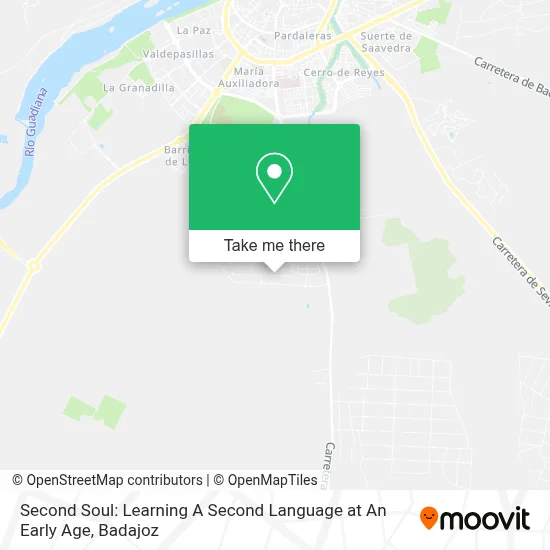 Second Soul: Learning A Second Language at An Early Age map