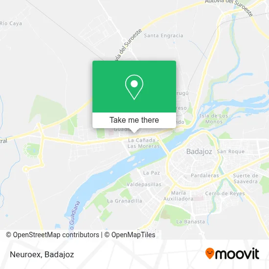 Neuroex map