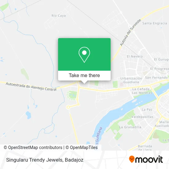 Singularu Trendy Jewels map