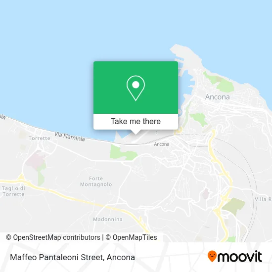 Maffeo Pantaleoni Street map