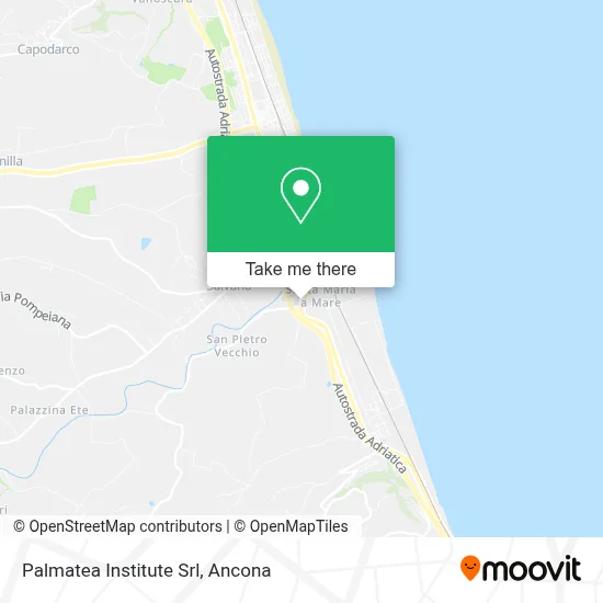 Palmatea Institute Srl map