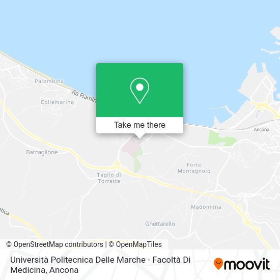 Università Politecnica Delle Marche - Facoltà Di Medicina map