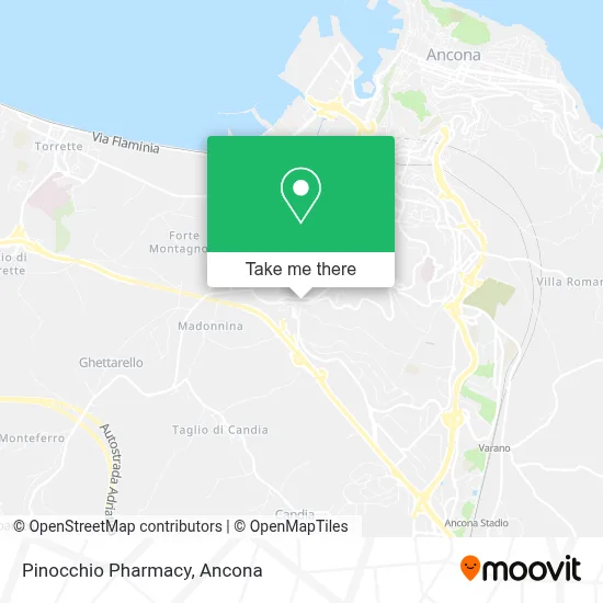 Pinocchio Pharmacy map