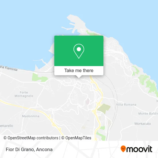 Fior Di Grano map