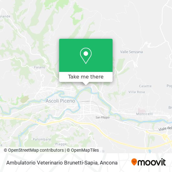 Ambulatorio Veterinario Brunetti-Sapia map