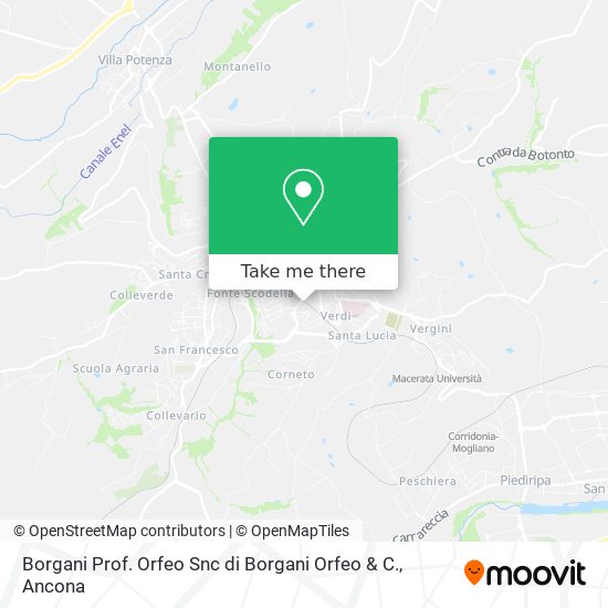 Borgani Prof. Orfeo Snc di Borgani Orfeo & C. map