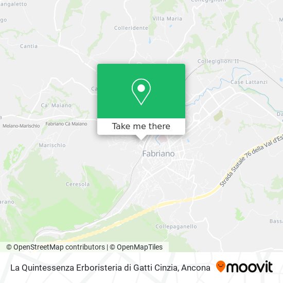 La Quintessenza Erboristeria di Gatti Cinzia map