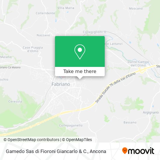 Gamedo Sas di Fioroni Giancarlo & C. map