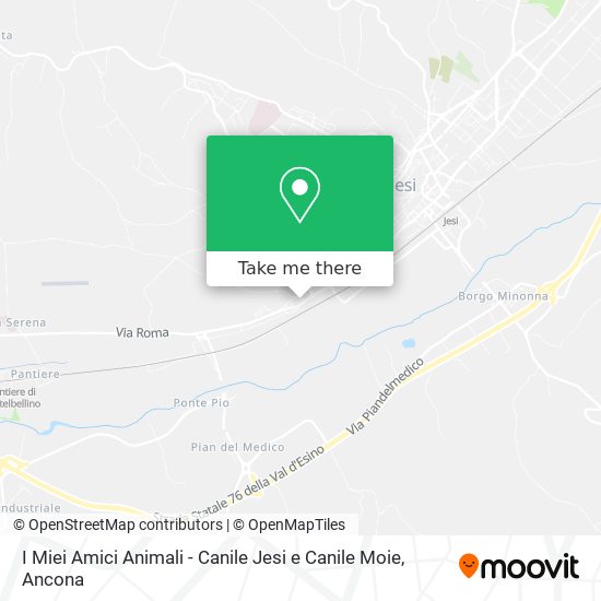 I Miei Amici Animali - Canile Jesi e Canile Moie map