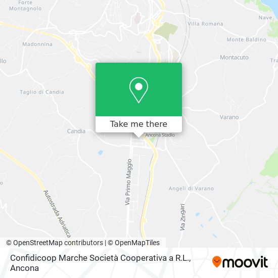 Confidicoop Marche Società Cooperativa a R.L. map