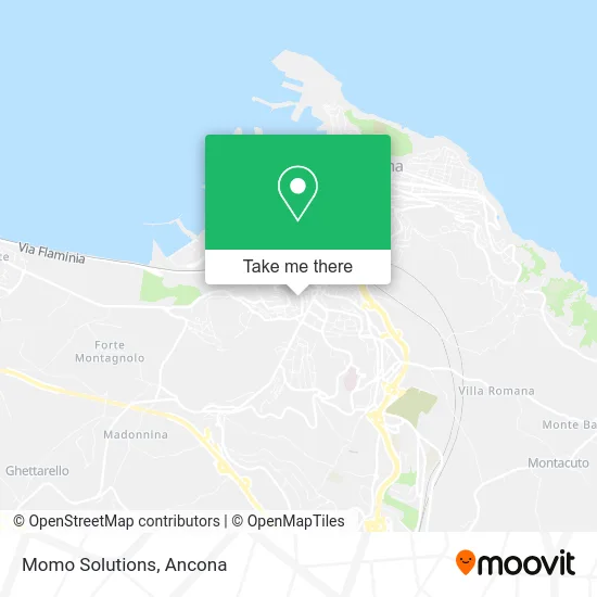 Momo Solutions map