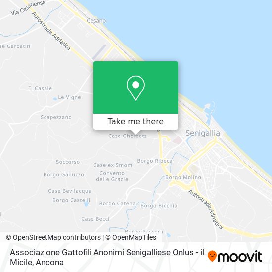 Associazione Gattofili Anonimi Senigalliese Onlus - il Micile map