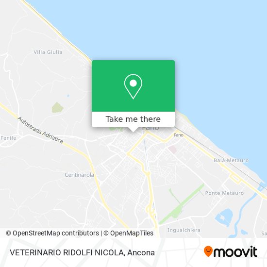 VETERINARIO RIDOLFI NICOLA map