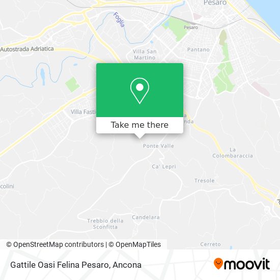 Gattile Oasi Felina Pesaro map