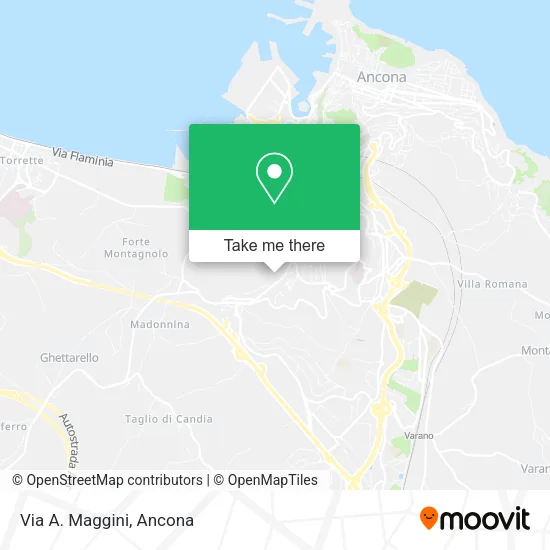 Via A. Maggini map