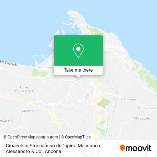 Gioacchini Stoccafisso by Cupido Massimo and Alessandro & Co. map