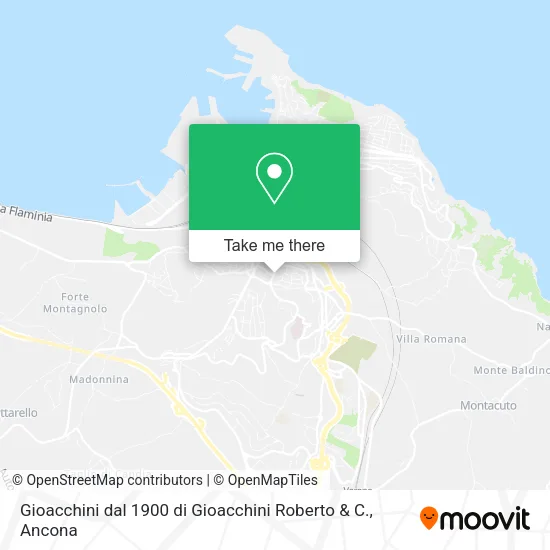 Gioacchini dal 1900 di Gioacchini Roberto & C. map