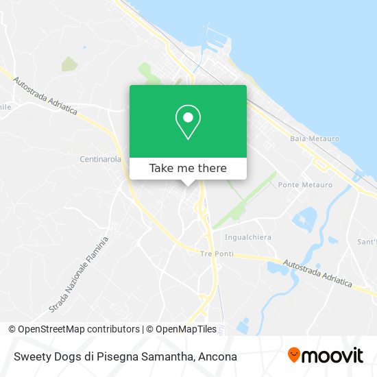 Sweety Dogs di Pisegna Samantha map