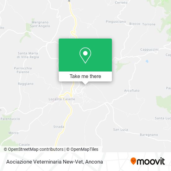 Aociazione Veterninaria New-Vet map