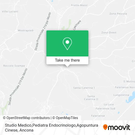 Medical Studio, Pediatric Endocrinologist, Chinese Acupuncture map