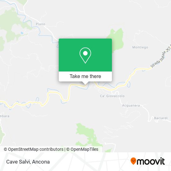 Cave Salvi map
