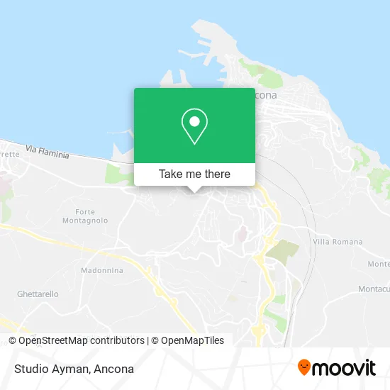 Studio Ayman map