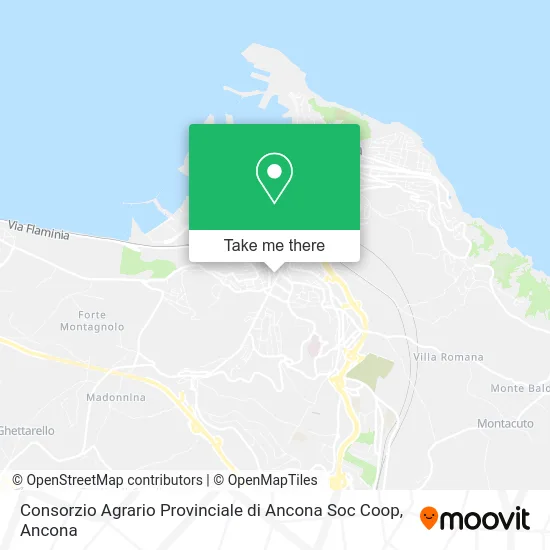 Consorzio Agrario Provinciale di Ancona Soc Coop map