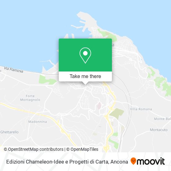 Edizioni Chameleon-Idee e Progetti di Carta map