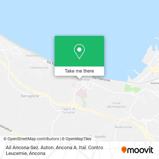Ail Ancona-Sez. Auton. Ancona A. Ital. Contro Leucemie map
