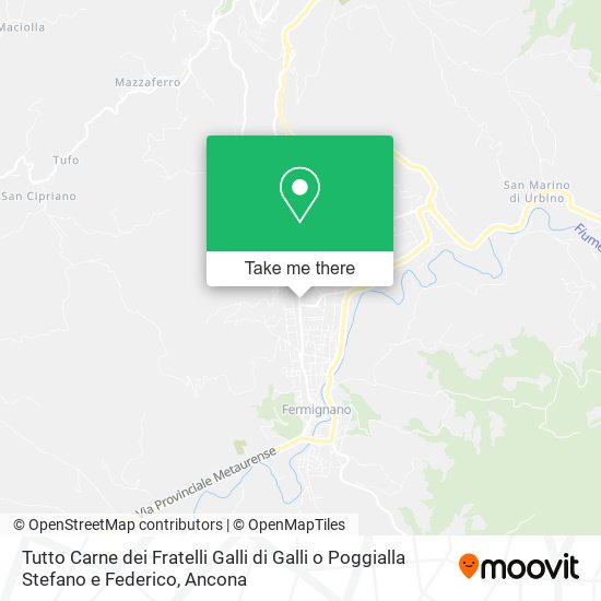 Tutto Carne dei Fratelli Galli di Galli o Poggialla Stefano e Federico map