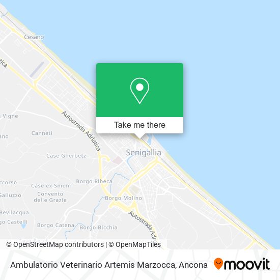 Ambulatorio Veterinario Artemis Marzocca map