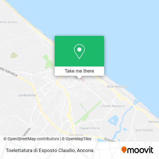 Toelettatura di Esposto Claudio map