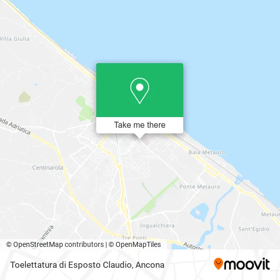 Toelettatura di Esposto Claudio map
