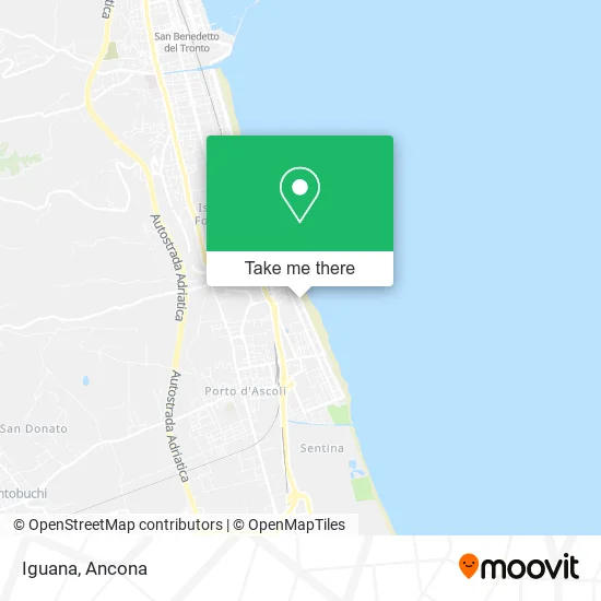 Iguana map