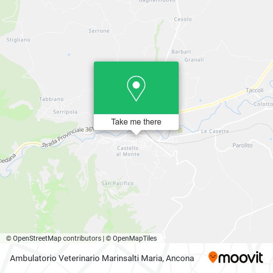 Ambulatorio Veterinario Marinsalti Maria map