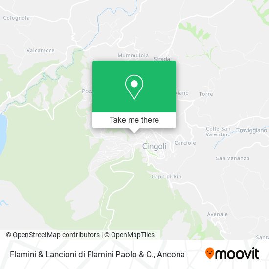 Flamini & Lancioni di Flamini Paolo & C. map