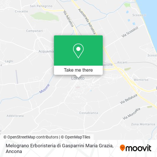 Melograno Erboristeria di Gasparrini Maria Grazia map