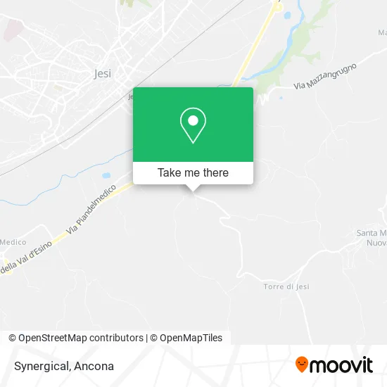 Synergical map