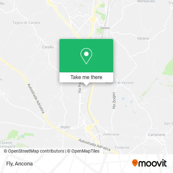 Fly map