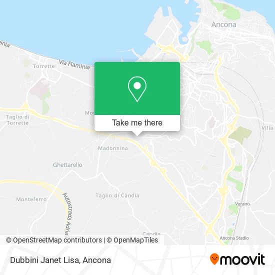 Dubbini Janet Lisa map