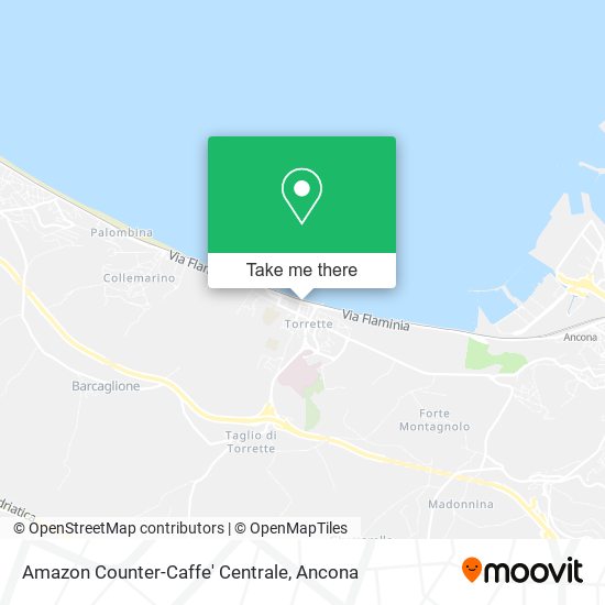 Amazon Counter-Caffe' Centrale map
