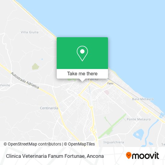 Clinica Veterinaria Fanum Fortunae map